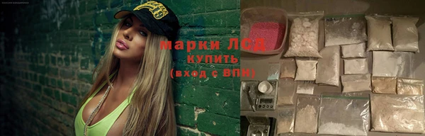 ПСИЛОЦИБИНОВЫЕ ГРИБЫ Алзамай