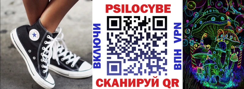 закладка Бирск Псилоцибиновые грибы мицелий